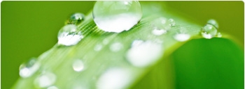 banner-home-azienda-11